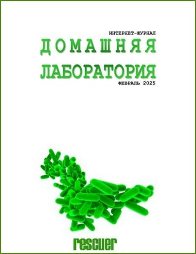 Домашняя Лаборатория 02 (Февраль) (2025) DjVu