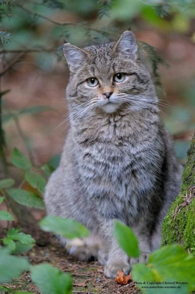 FB IMG 1754205454182