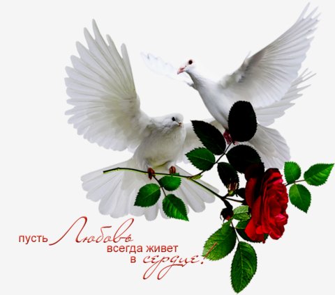 Waptu.Ru 833ad0fbc28c3946c701bcd559d1070