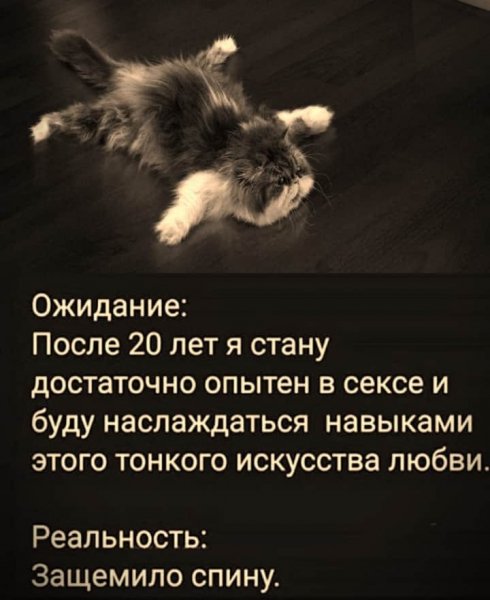 IMG 20200731 220312