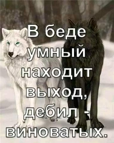 file_99298782