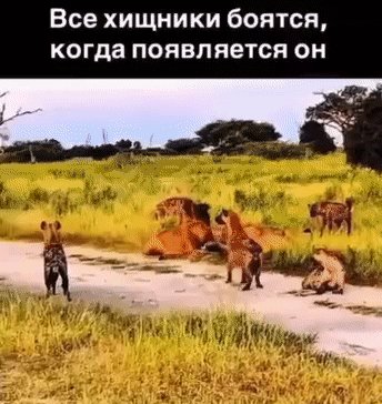 Все его боялись