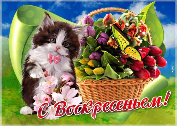 file_78116021