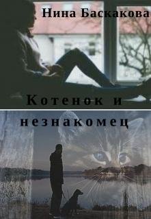 Котёнок и незнакомец