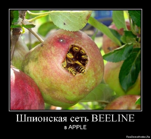 Шпионская сеть...