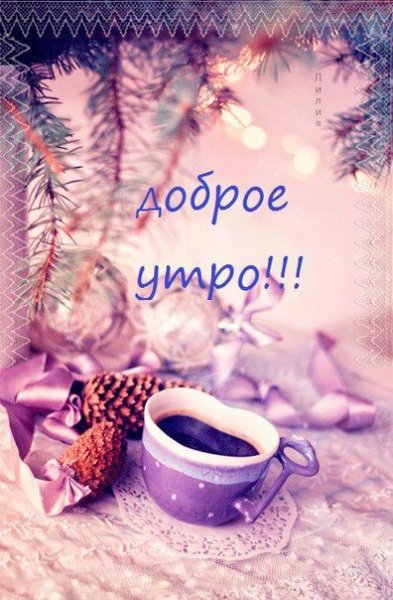 IMG 20191216 486571