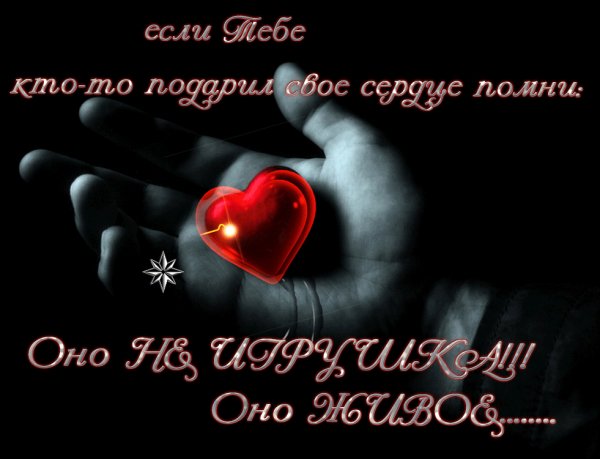 IMG 20160627 084241 44