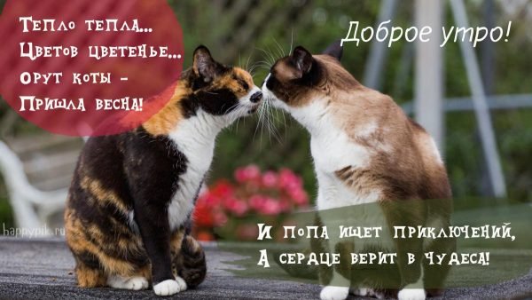 IMG 20190530 684568