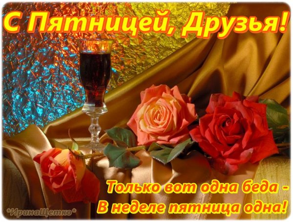 xSyF1ktNShs