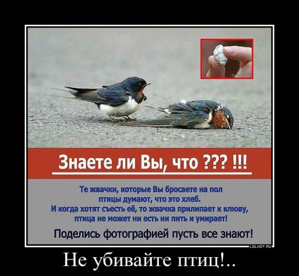 lol1551185782