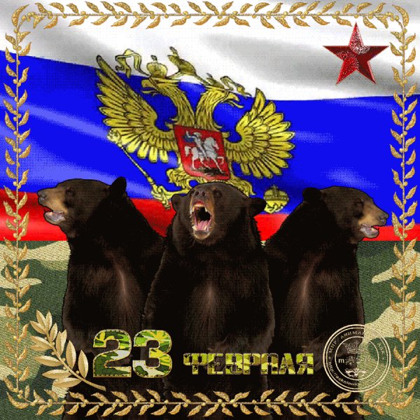 С 23 Февраля!