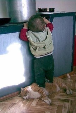 image-584
