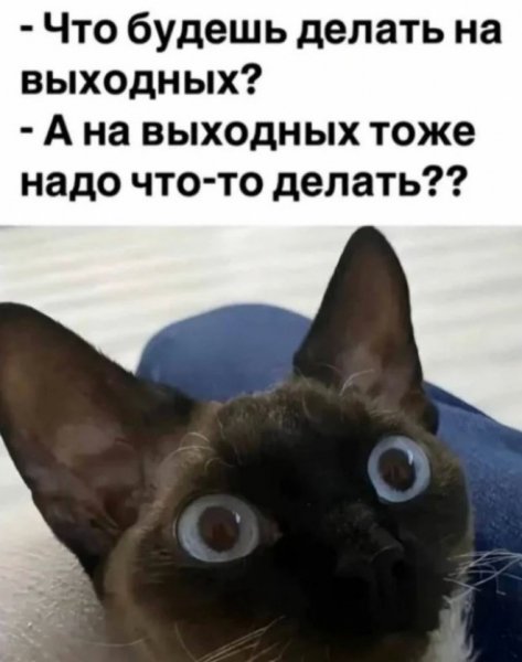 file_100072962