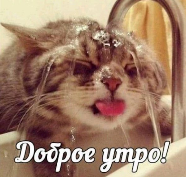 Dobroe utrо
