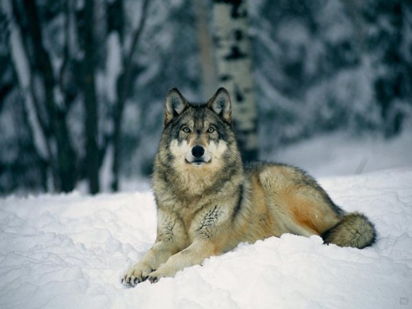file_88958562
