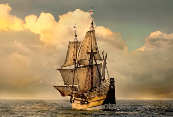 IMG viter59 Mayflower bark