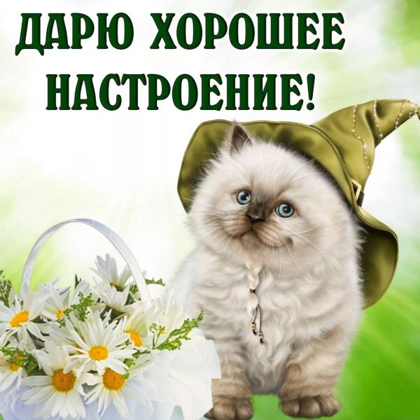 IMG 20230118 151150 734