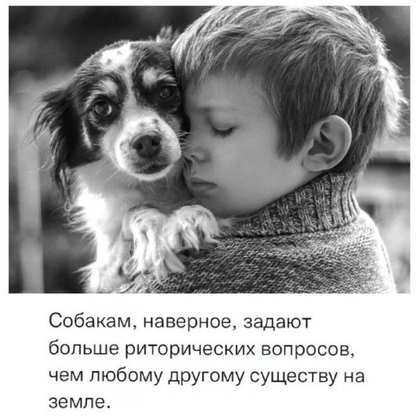 1aed0e80d5ae7336410340a6e730c103