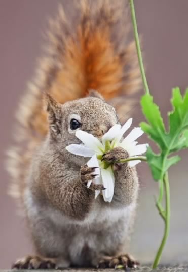 tumblr n39hovd6wm1qgu2wio1 1280-