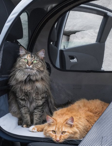 Screenshot 20260326 195337 Facebook (1)