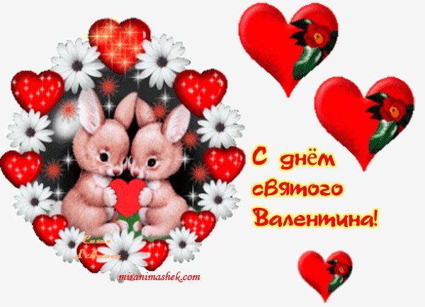 file_26661727