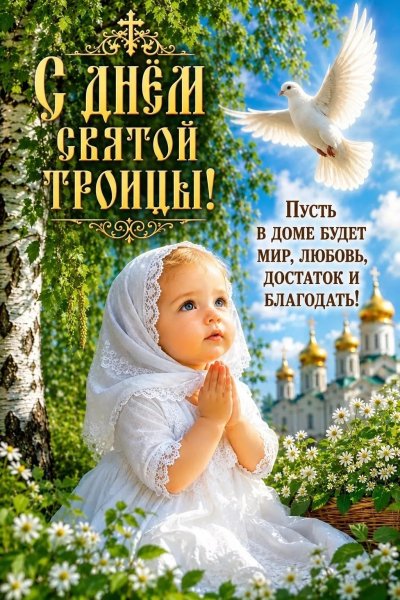 IMG 20260531 121428 531