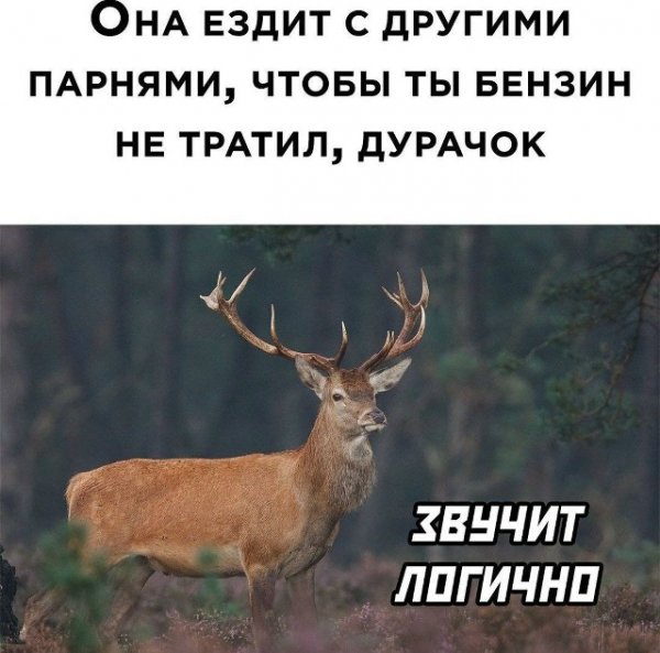 file_101136952