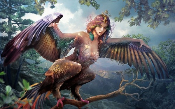 artleo.com 486498 1920x1200