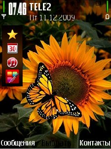 sunflower mbyvbb9q