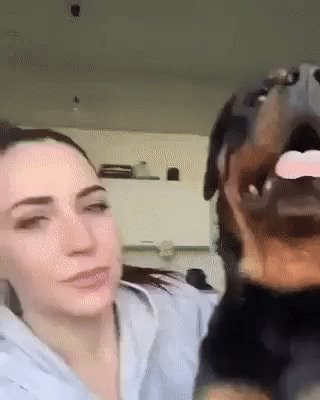 - Дразнишься ?!