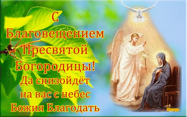 file_81168802