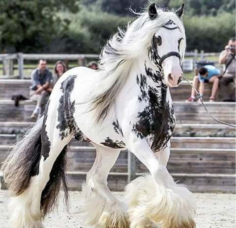 FB IMG 1440697697072