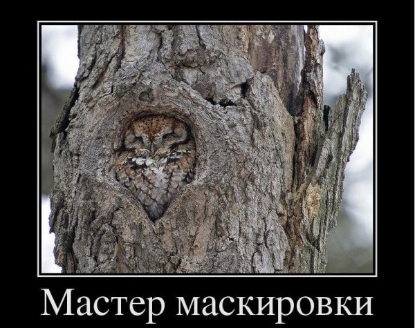 Мастер маскировки