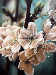 file_57439369