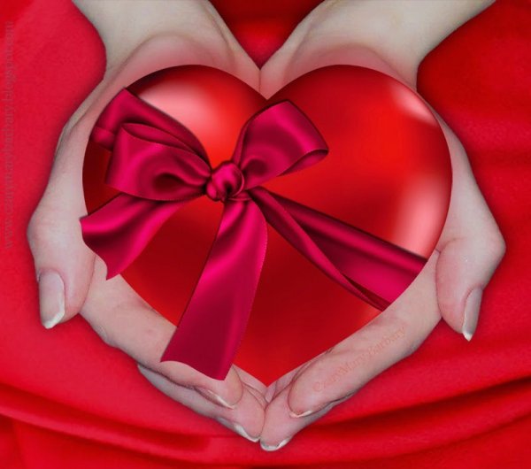 IMG 20160206 181422 1