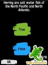 Animal Planet Trivia Challenge