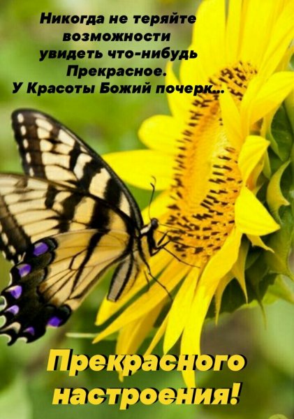 otsjNLhgD 8