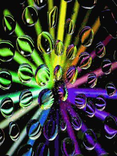 file_68458874