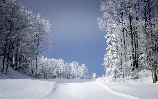 Ski Paradise