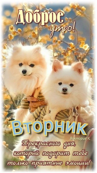 file_93584266