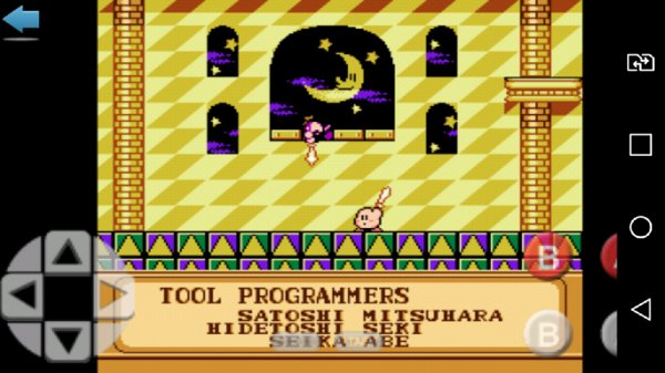 kirbys-adventure