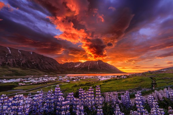 Halldor-jonsson-iceland-village-sunset-flowers-sky-clouds-su