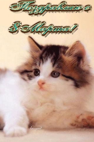 file_46015178