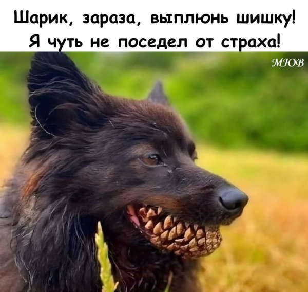 FB IMG 1775992141111