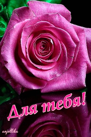 file_75005469