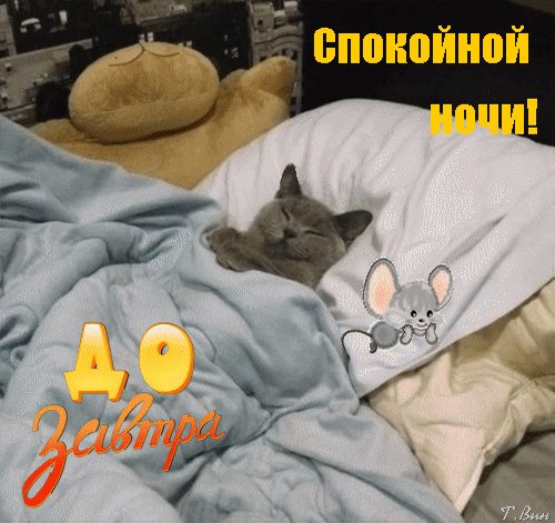 спокойной ночи 121067