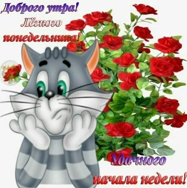 Доброго утра