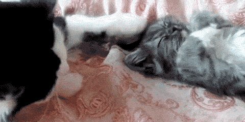 просыпайся