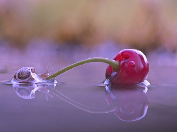image (14)