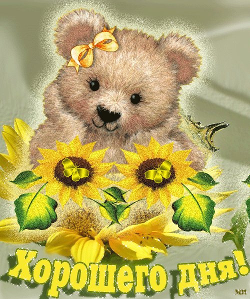 Хорошего дня